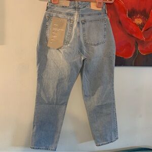 NEW Everlane Jeans Womens Sz 26 Blue Curvy 90s Cheeky Straight Leg Ankle High